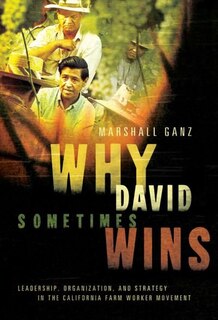 Front cover_Why David Sometimes Wins