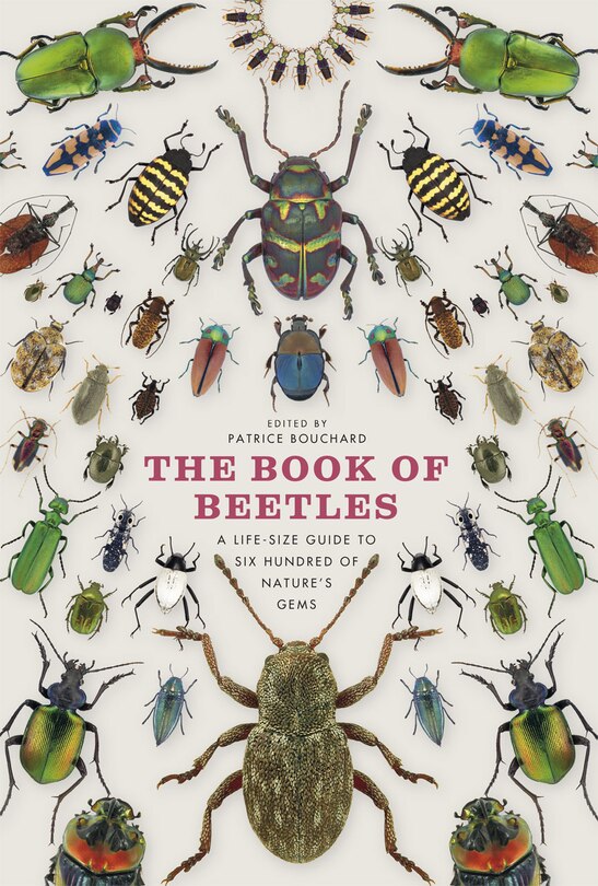 Front cover_The Book of Beetles
