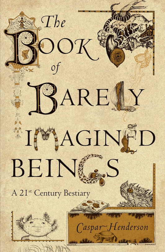 Front cover_The Book of Barely Imagined Beings