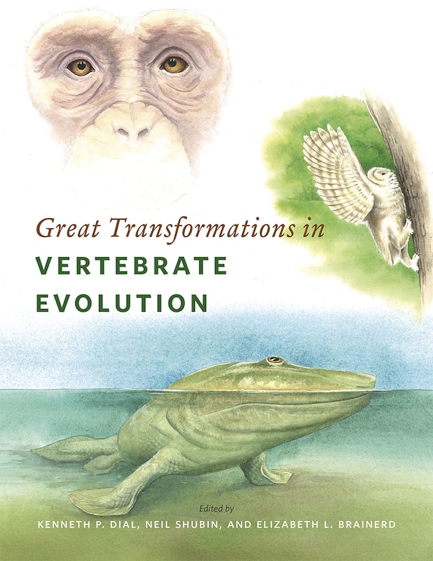 Couverture_Great Transformations In Vertebrate Evolution