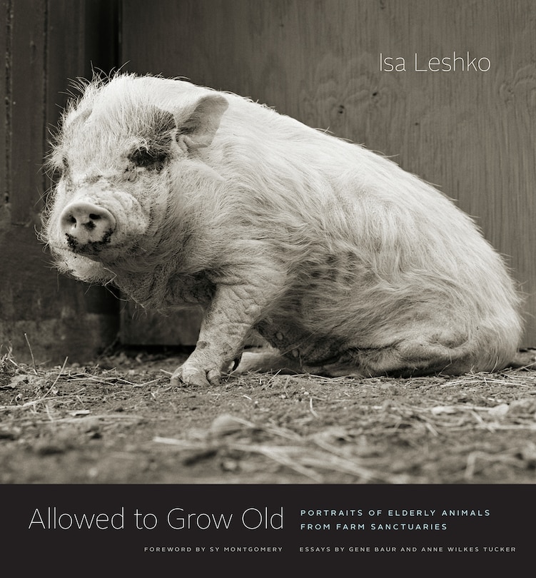 Couverture_Allowed To Grow Old