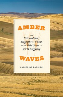 Front cover_Amber Waves