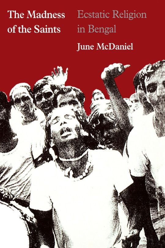 Couverture_The Madness of the Saints