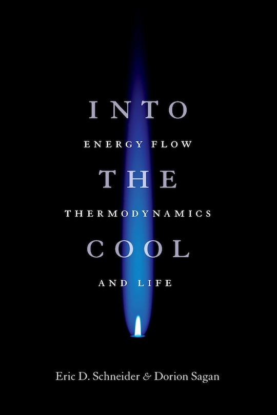 Front cover_Into The Cool