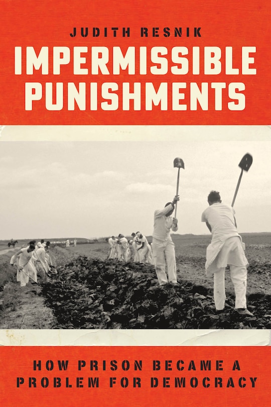 Front cover_Impermissible Punishments