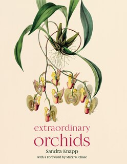 Front cover_Extraordinary Orchids
