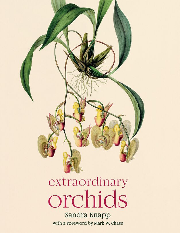 Front cover_Extraordinary Orchids