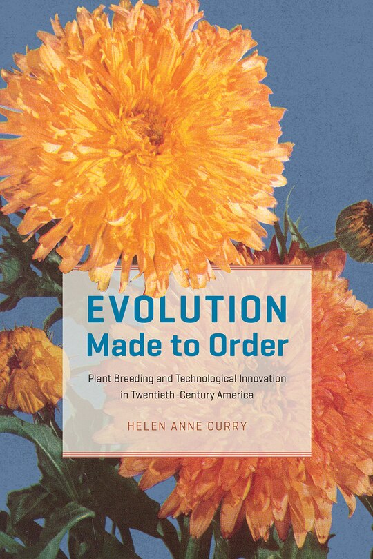 Front cover_Evolution Made To Order