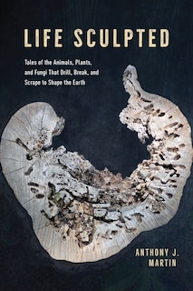 Front cover_Life Sculpted