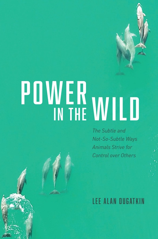 Couverture_Power In The Wild