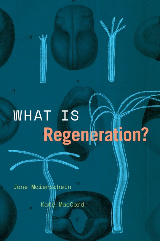 Front cover_What Is Regeneration?