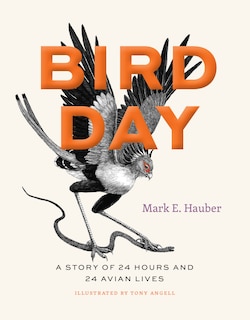 Couverture_Bird Day
