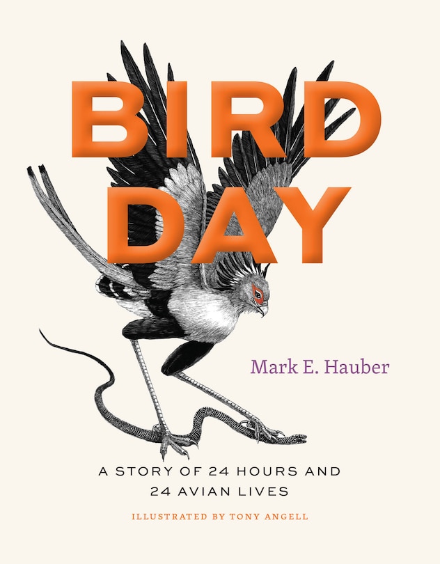 Couverture_Bird Day