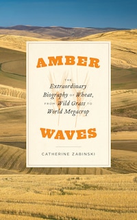 Couverture_Amber Waves