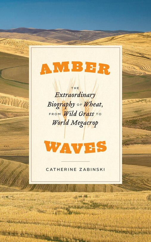Couverture_Amber Waves