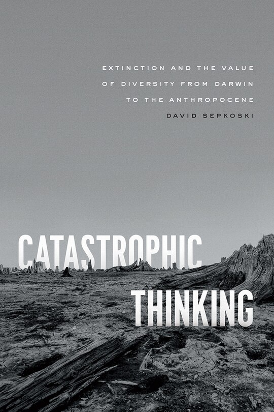 Front cover_Catastrophic Thinking