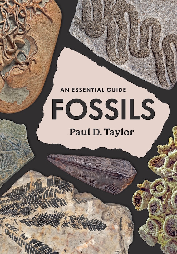 Front cover_Fossils