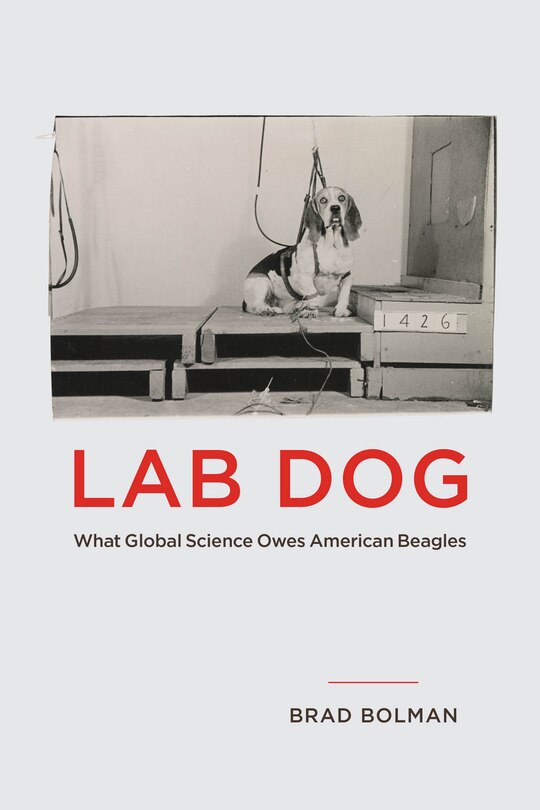 Front cover_Lab Dog