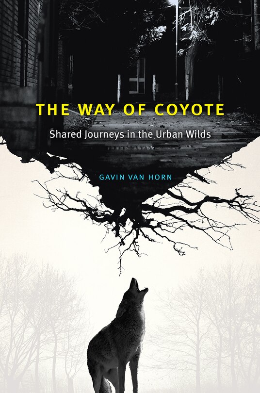 Front cover_The Way of Coyote