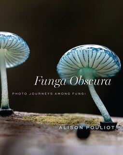 Front cover_Funga Obscura