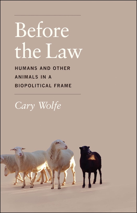 Couverture_Before the Law