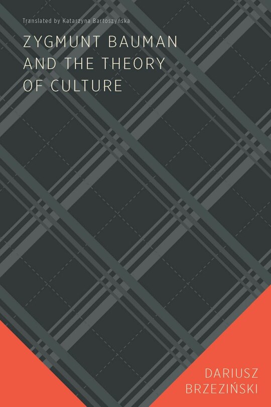 Couverture_Zygmunt Bauman and the Theory of Culture