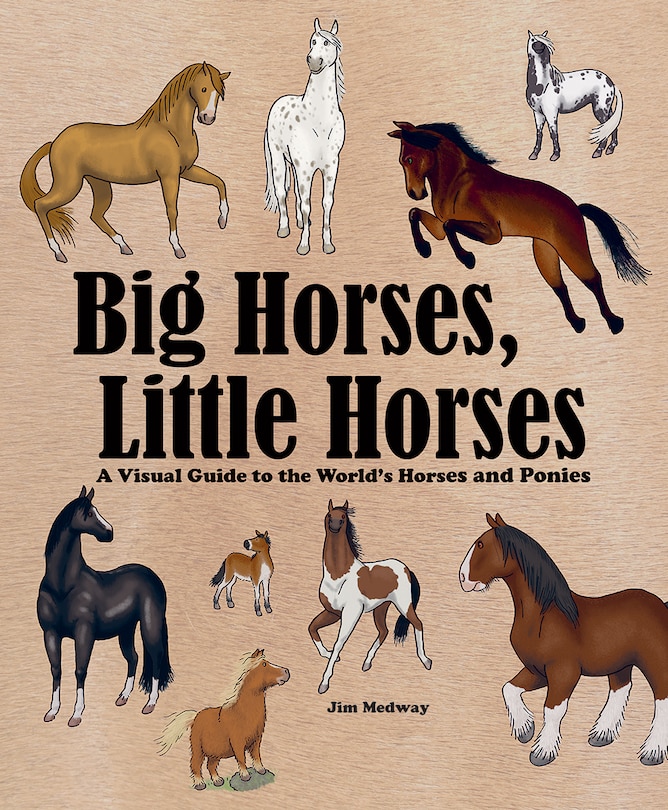 Front cover_Big Horses, Little Horses