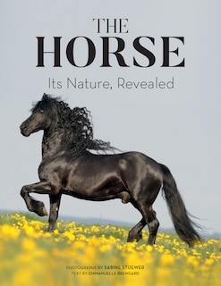 Couverture_The Horse