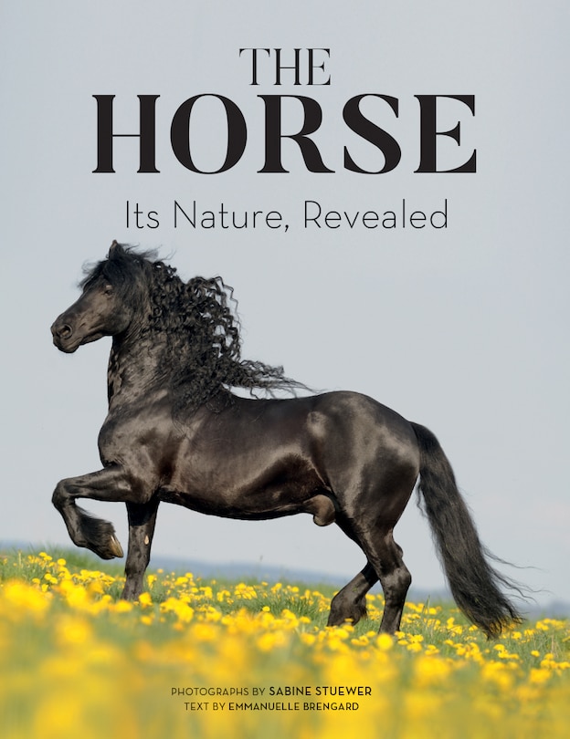 Couverture_The Horse