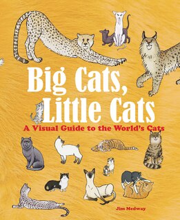 Front cover_Big Cats, Little Cats
