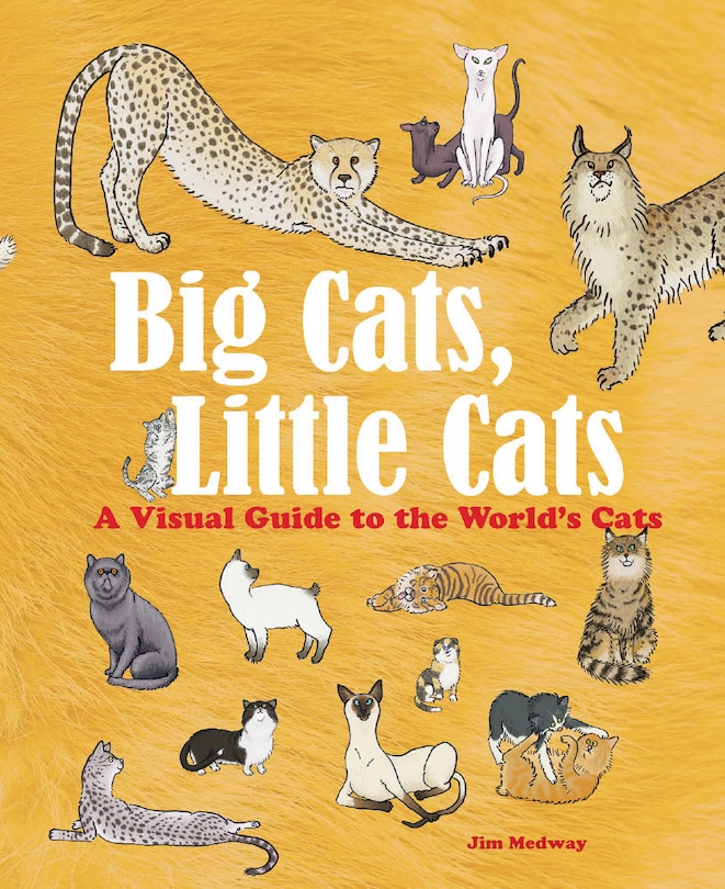 Front cover_Big Cats, Little Cats