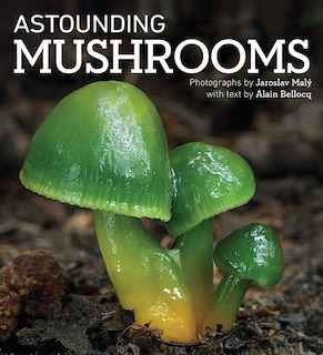 Couverture_Astounding Mushrooms