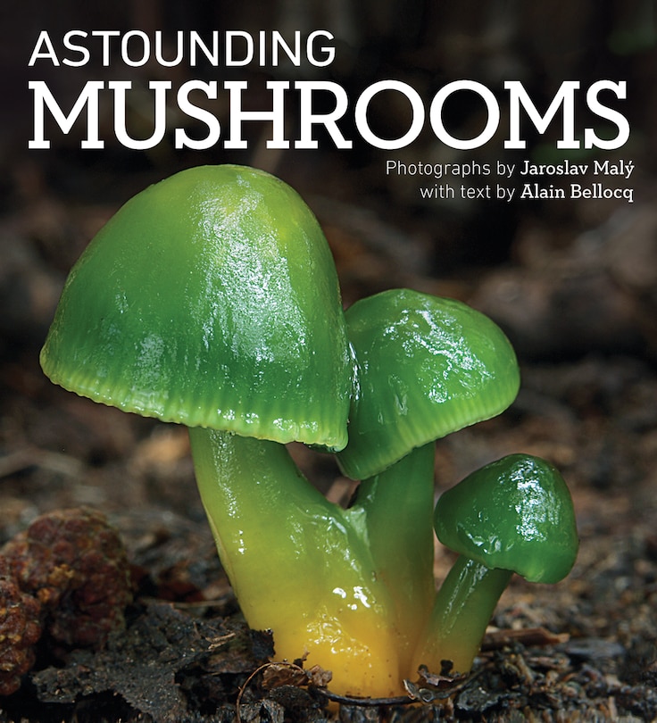 Couverture_Astounding Mushrooms