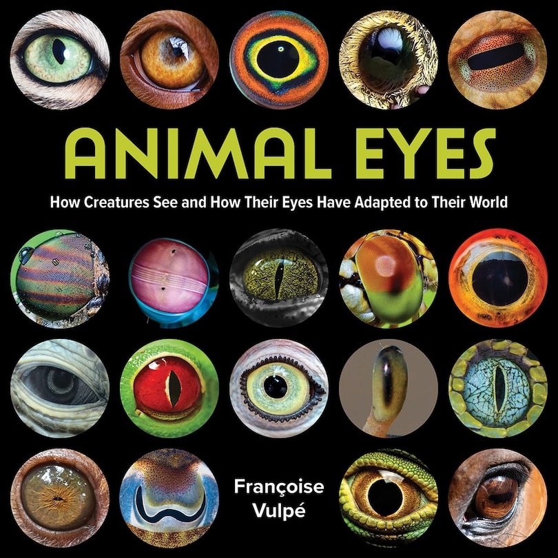 Couverture_Animal Eyes
