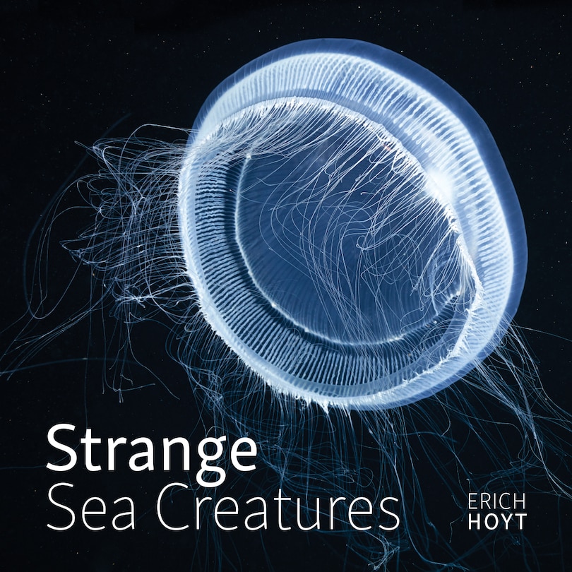 Front cover_Strange Sea Creatures