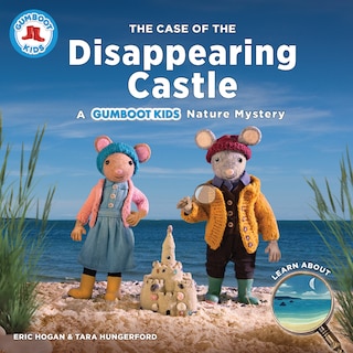 Couverture_The Case of the Disappearing Castle