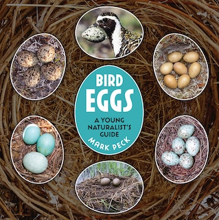 Front cover_Bird Eggs