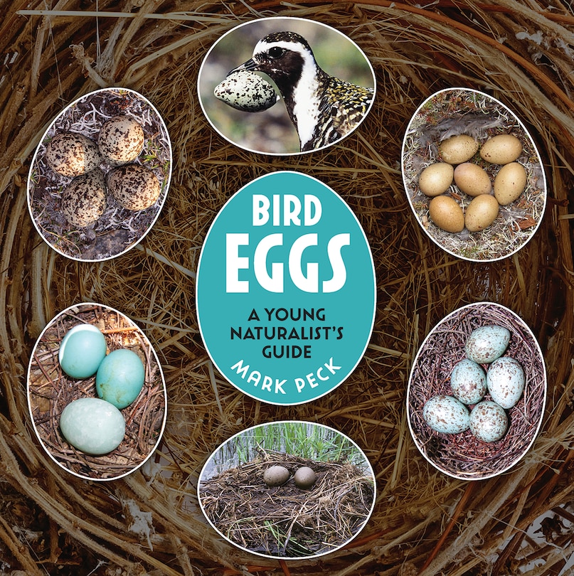 Front cover_Bird Eggs