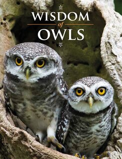 Front cover_Wisdom of Owls