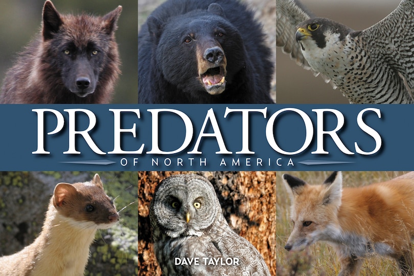 Couverture_Predators of North America