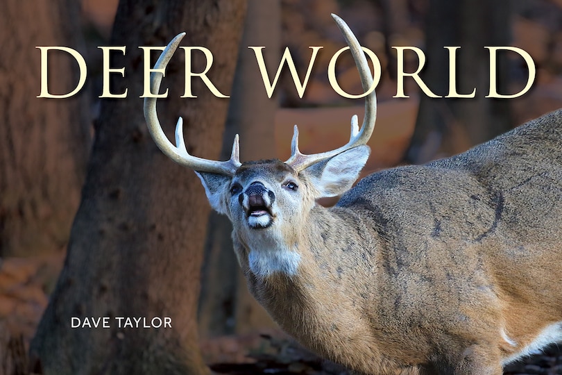 Couverture_Deer World
