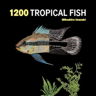 Front cover_1200 Tropical Fish