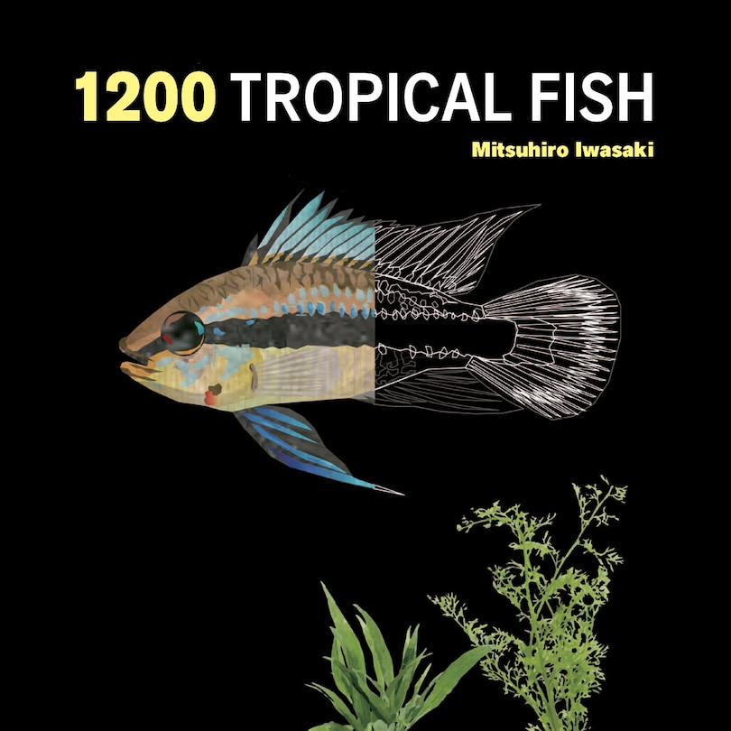 Front cover_1200 Tropical Fish