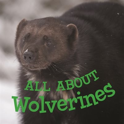 Front cover_All about Wolverines