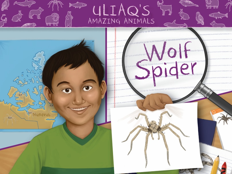 Couverture_Uliaq's Amazing Animals: Wolf Spider