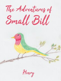 Couverture_The Adventures of Small Bill