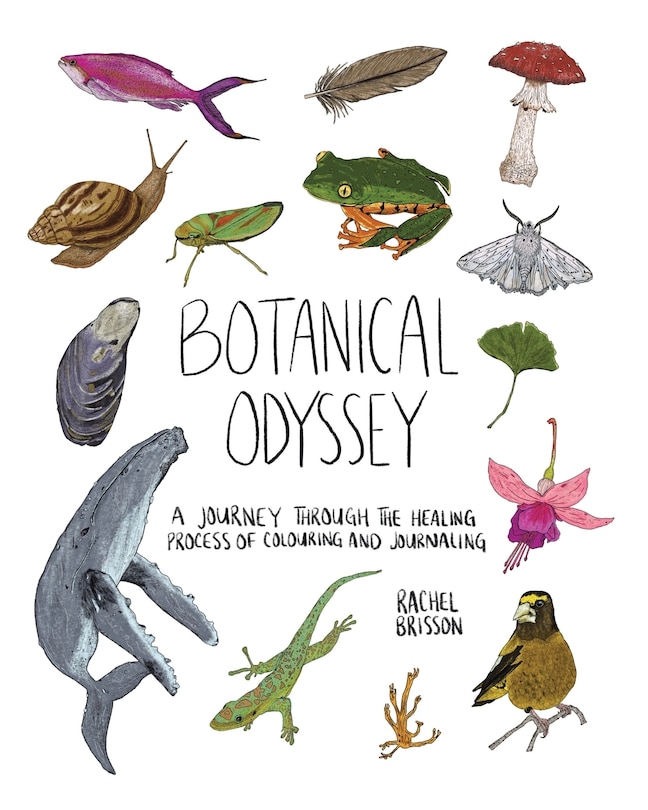 Front cover_Botanical Odyssey