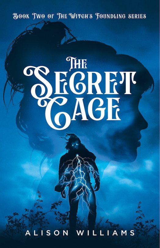 Couverture_The Secret Cage