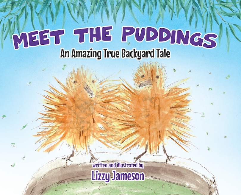 Front cover_Meet the Puddings