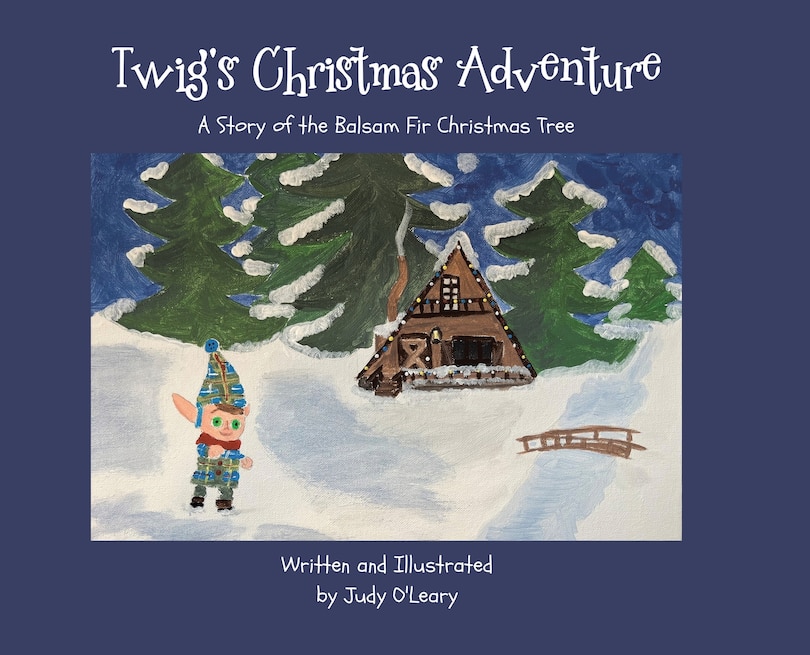 Front cover_Twig's Christmas Adventure